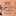 Favicon van bees-in-a-jar.com