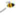 Favicon van beesmart.nl