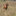 Favicon van beesterlijk.nl