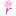 Favicon van bellefleur-voorburg.nl