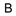 Favicon van belluna.nl