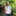 Favicon van benarddienstverlening.nl