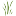 Favicon van berkenhorstkootwijk.nl