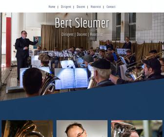 https://www.bertsleumer.nl