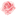 Favicon van bijroosje.nl