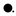Favicon van bio.site/Nikolett