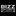 Favicon van bizz-sports.nl
