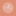 Favicon van bijjolienkapsalon.nl