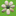 Favicon voor bijzonder-jij.nl