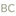 Favicon van bikecity.nu