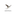 Favicon voor birdtrail.nl