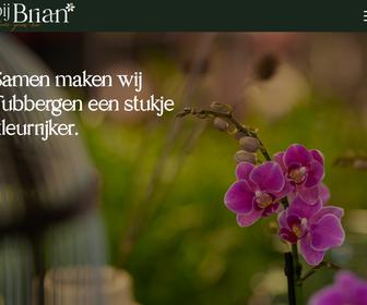 http://www.bijbrian.nl
