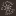 Favicon van bloomingspices.com
