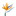 Favicon van blitzbloemstuk.nl