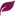 Favicon van bloeienzo.nl