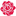 Favicon voor bloemenlifestyle.nl