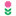 Favicon van bloemenplant.nu