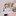 Favicon van bloemenservicenederland.nl