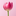 Favicon van bloemenstalletje.com