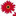 Favicon van bloemmarie.com