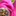 Favicon van bloemrijk.nl