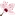 Favicon van bloesemverloskundigen.nl