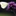 Favicon van bloomingb.nl
