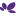 Favicon van bloomsierkunst.nl