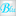 Favicon van bluespider.nl