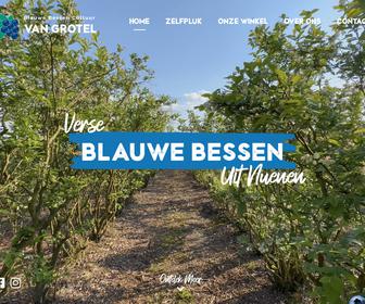http://www.blauwebessen-hil-en-moer.nl