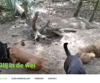 Blij in de wei