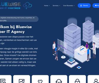 BlueWise IT