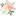 Favicon van bobbypinboutique.nl