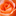 Favicon van boekette-ri.nl