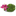 Favicon van bofresh.nl