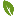 Favicon van bomenweb.nl