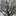 Favicon van boomklimmen.nl