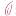 Favicon van boomkwekerijdedemsvaart.nl