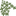 Favicon van boomkwekerijstruijk.nl