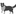 Favicon van bordercolliesmaykesdream.nl