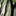 Favicon van bosbeeld.nl