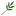 Favicon van bosmafotografie.nl