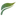 Favicon van bosmantuinen.nl