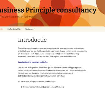 Bprinciple consultancy