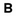 Favicon van bramvanvulpen.nl