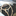 Favicon van brocars.nl