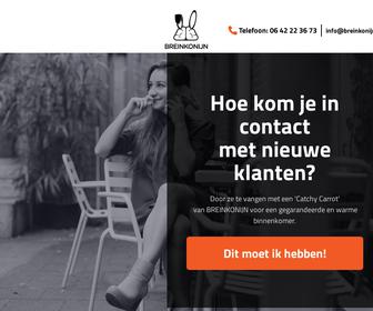 http://www.breinkonijn.nl