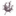 Favicon van buitengewoonte.nl
