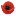 Favicon van burocollou.nl