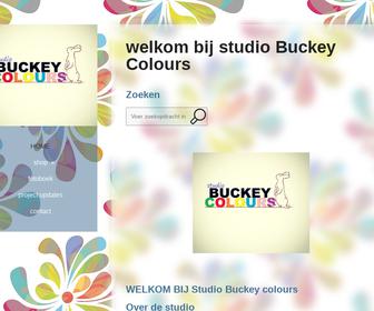 Studio Buckey colours